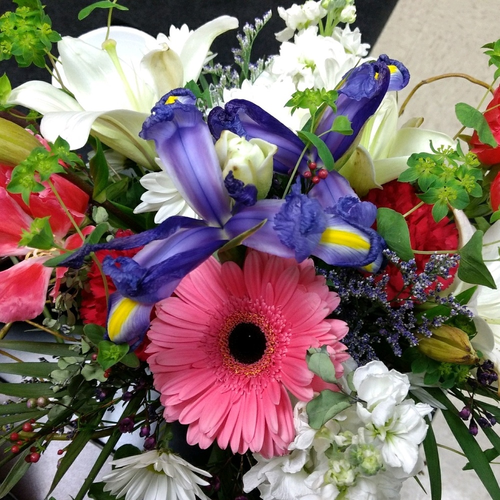 Meet your Posher, Daniella